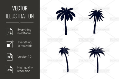Tropical Palm Trees