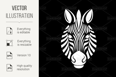 Zebra head