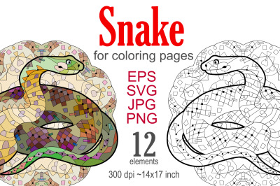 Decorative snakes for coloring