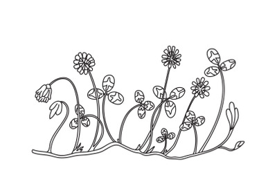 Line art botanical floral border isolated on white background. Hand dr