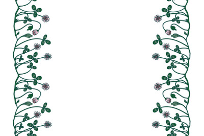 Botanical vertical floral border isolated on white background. Hand dr