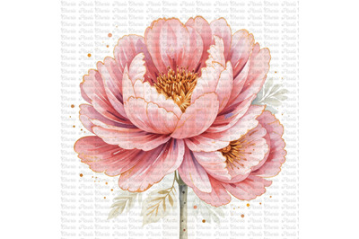 11 Blush Pink Gold Peonies Flowers Watercolor Clipart Bundle, Wedding