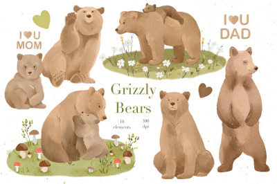 Watercolor Grizzly Bears Clipart