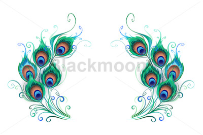 Green peacock feathers composition