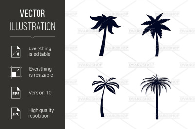 Tropical Palm Trees