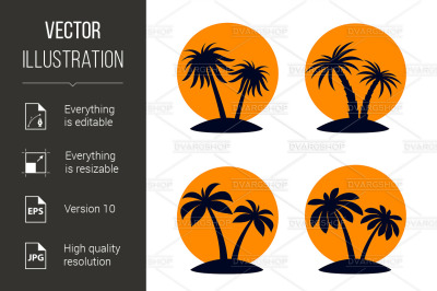 Tropical Palm Trees