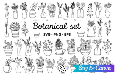 Botanical Line Art Clipart