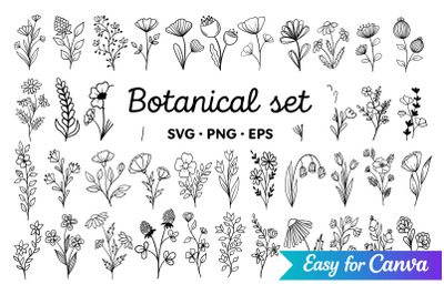 Botanical Line Art Clipart