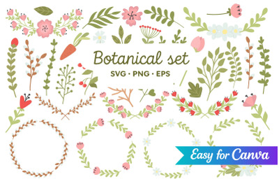 Botanical Clipart Set