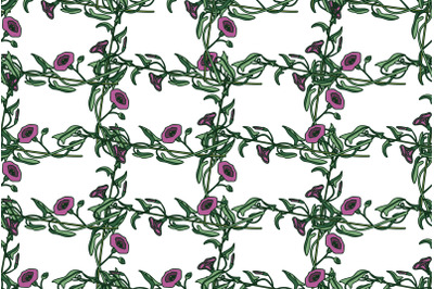 Botanical floral seamless pattern vector illustration. Repeating bindw