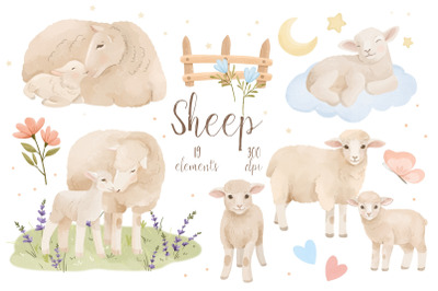 Watercolor Pastel Sheep Clipart