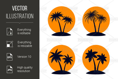 Tropical Palm Trees