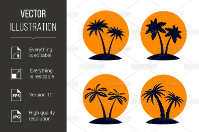 Tropical Palm Trees
