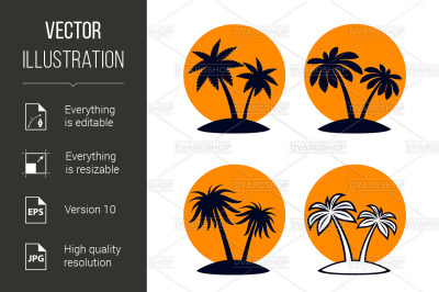 Tropical Palm Trees