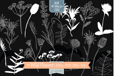 White Wild Flowers | Hand Drawn Meadow Plants, Leaves, Fern