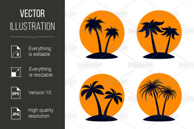 Tropical Palm Trees