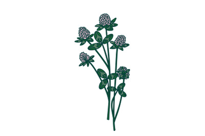 Botanical floral bouquet isolated on white background. Hand drawn clov