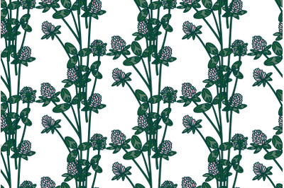 Botanical floral seamless pattern with clover vector illustration
