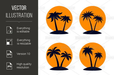 Tropical Palm Trees