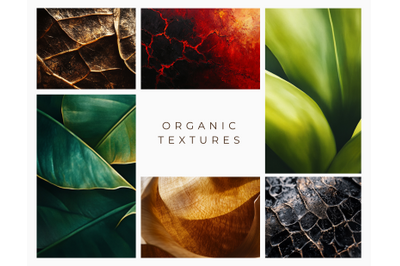 209 organic textures