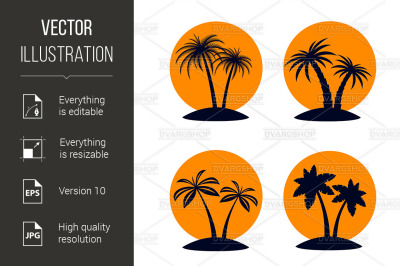 Tropical Palm Trees
