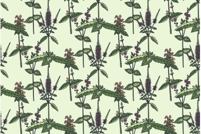 Botanical floral seamless pattern with wildflowers vector illustration