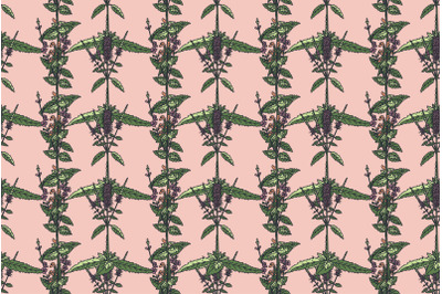 Botanical floral seamless pattern with wildflowers vector illustration