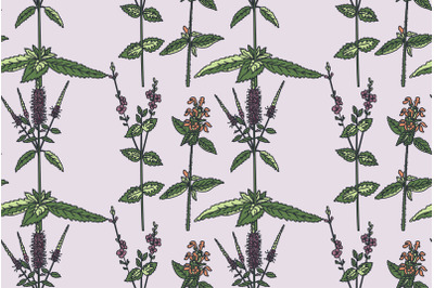 Botanical floral seamless pattern with wildflowers vector illustration