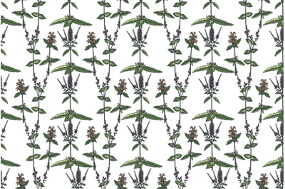 Botanical floral seamless pattern with wildflowers vector illustration