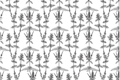 Line art botanical floral seamless pattern with wildflowers vector
