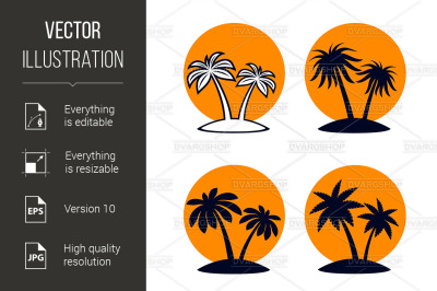 Tropical Palm Trees