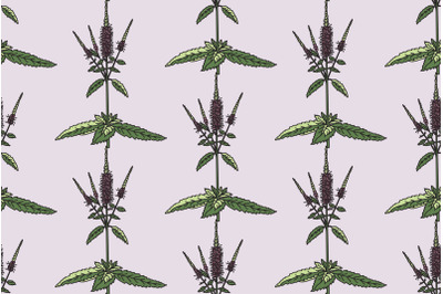 Botanical floral seamless pattern with wildflowers vector illustration