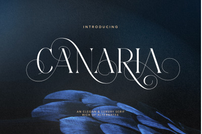 Canaria - Fancy Light Serif