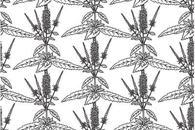 Line art botanical floral seamless pattern with peppermint vector
