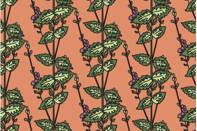 Botanical floral seamless pattern with wildflowers vector illustration