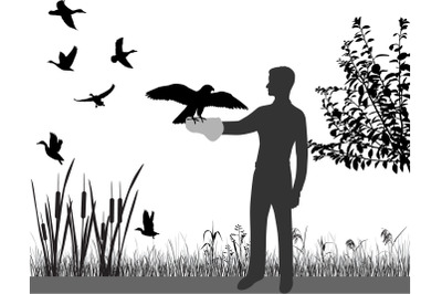 Hunting with peregrine falcon