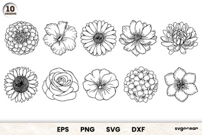 Flowers Buds SVG Bundle