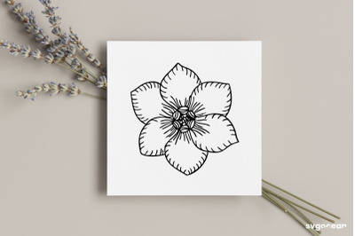 Forget Me Not Flower SVG
