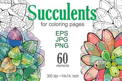 Succulents for coloring pages