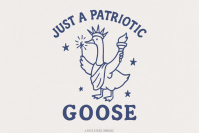 Patriotic Goose PNG, 4th of July Silly Goose Clipart, USA Goose Sublim