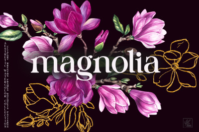 Magnolia PNG Watercolor Flowers