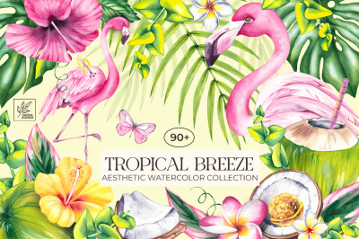 Tropical Breeze Clipart &amp; Patterns