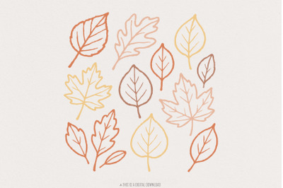 Autumn Leaves PNG&2C; Fall Leaves PNG&2C; Hand Drawn Outline Leaf Clipart&2C; R