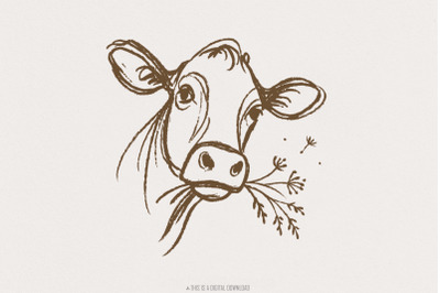 Highland Cow PNG Line Art, Rustic Farm Animal PNG, Vintage Country Cow