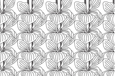 Line art botanical plantain bushes seamless pattern vector illustratio