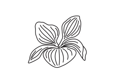 Line art botanical leaves isolated on white background. Hand drawn