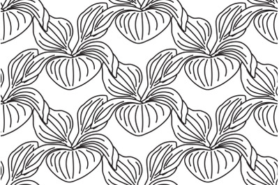 Line art botanical plantain bushes seamless pattern vector illustratio