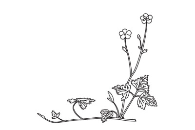 Line art botanical floral corner isolated on white background vector