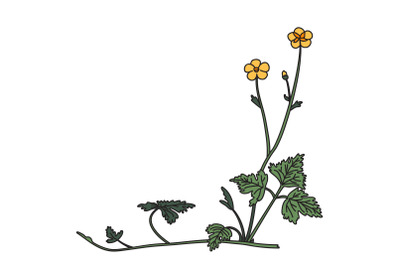 Botanical floral corner isolated on white background. Hand drawn wildf