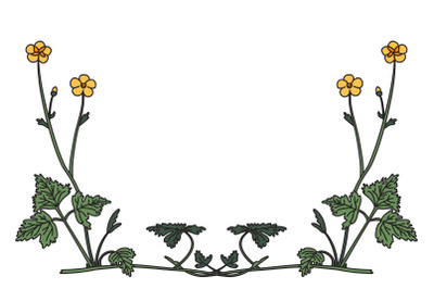 Botanical floral corner border isolated on white background vector